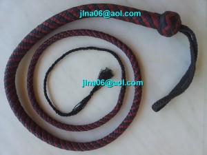 100345 Fouet snake signal 4 pieds à 200,00€