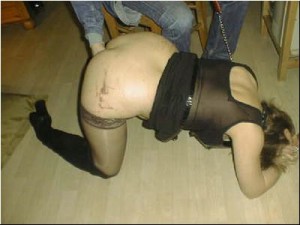 laisse-0232.jpg