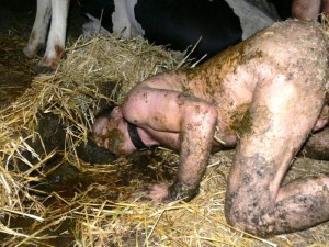 pig3