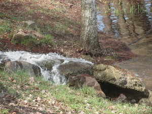 cascade plan d'eau (3)