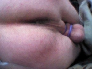 fesse 0440
