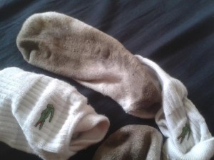 2_20130128_191627.jpg
