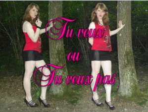 Sans-titre.png