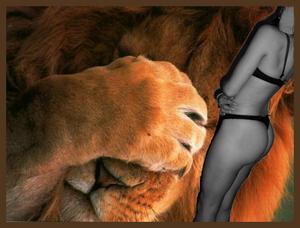 lion-007ddddd.jpg