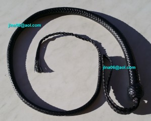 100510 Fouet snake signal noir 3 pieds 16 brins à 280,00€