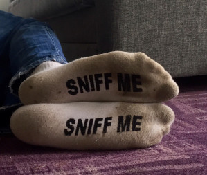 1--3--copie-2.jpg