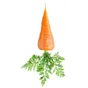 carotte-daucus-carota-.jpg