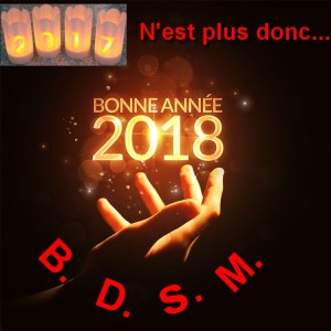 Bonne Année 2018