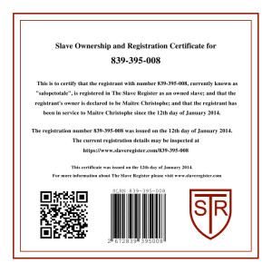 certificat-immatriculation-slave-register.jpg