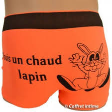 images boxer chaud lapin
