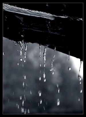 medium-Pluie-1-.jpg