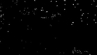 539a7e83f1108ee572a1017706da710d.jpg