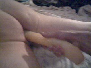 Picture 955