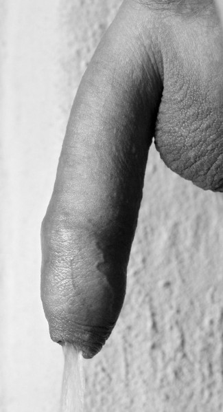 tumblr nba6himqRk1ti7zoxo1 1280