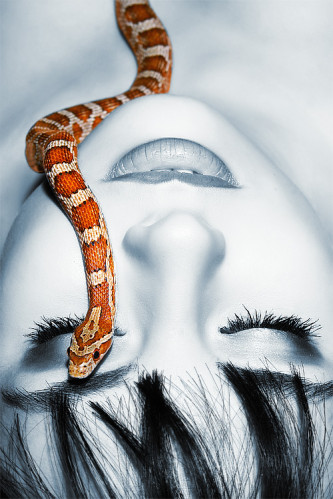 Snake by eugenebuzuk