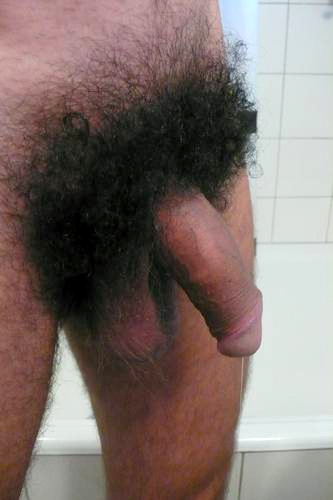 tumblr lmqobnCHHb1qdoqbco1 400