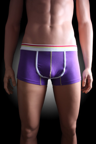 Boxer_homme_Spor_4ce46750376ff.jpg