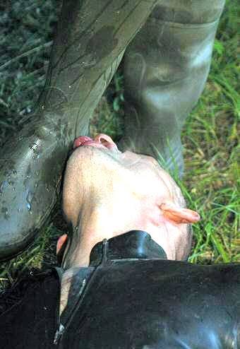 1--1--copie-14.jpg