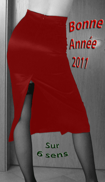 new annee 2011