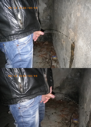 pissnignt.png