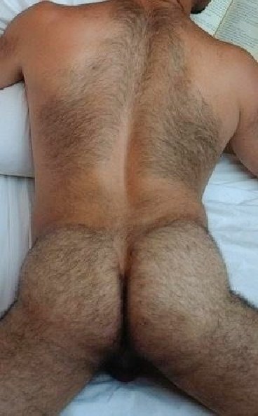 1--2--copie-25.jpg