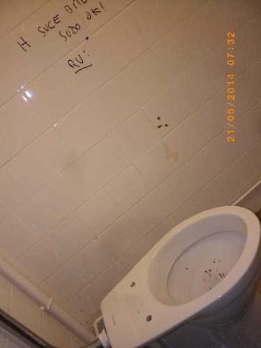hsb1.jpg