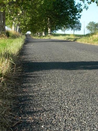 Le-20goudron-20de-20l-20allee-20de-20platanes-1-.jpg