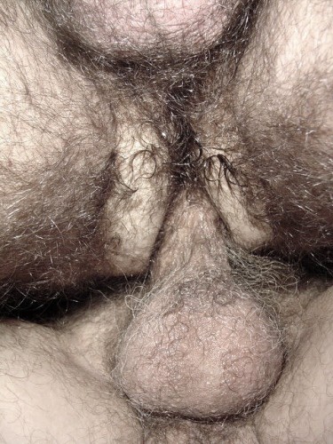 tumblr my9a5e1S6g1rmhddso1 500