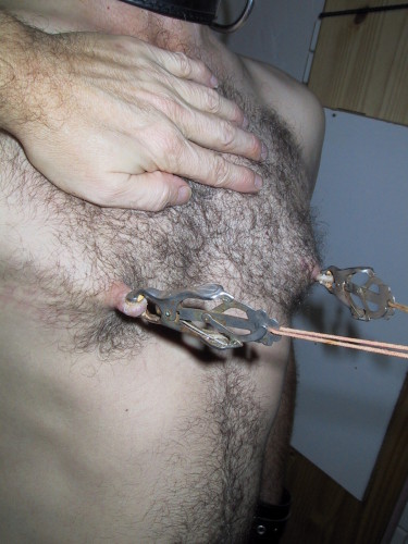 SEINS 0033