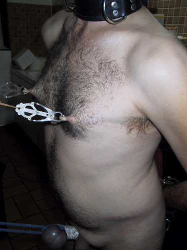 SEINS 0037