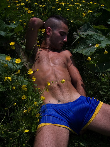 tumblr_n92hmpfMgc1tgfzbzo1_400.jpg