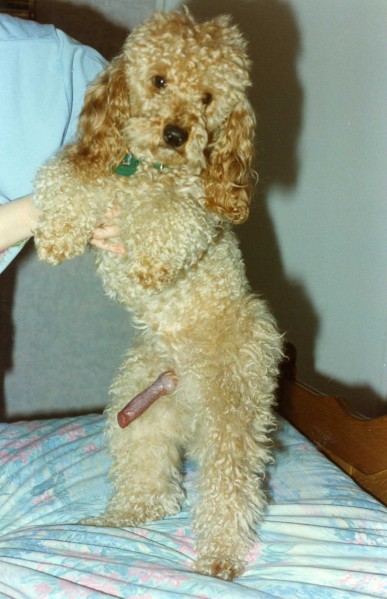 1994-X-012.jpg