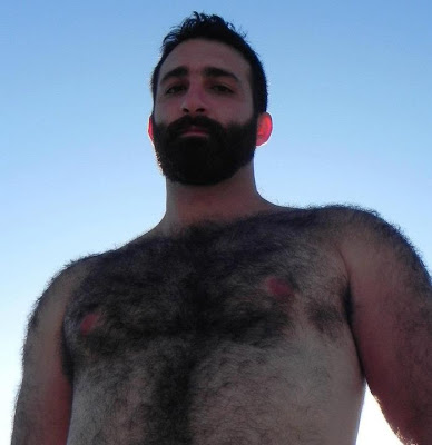 bear4