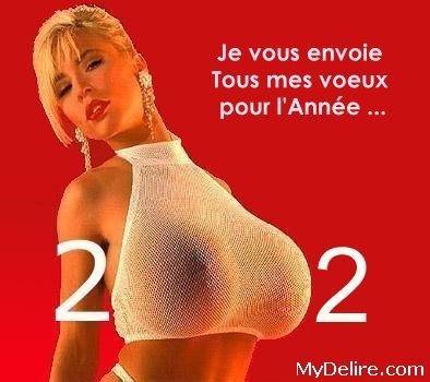 Humour---Insolite-image-voeux-0159.jpg