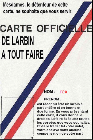 5-larbin-a-tout-faire-cherche-sa-Maitresse.PNG