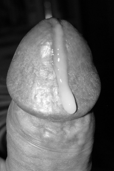 P1320431-002.JPG