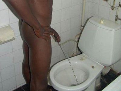 tumblr_lxmhx19WfL1r9imklo1_400.jpg