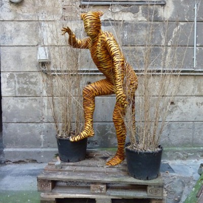 zentai-tigre.jpg