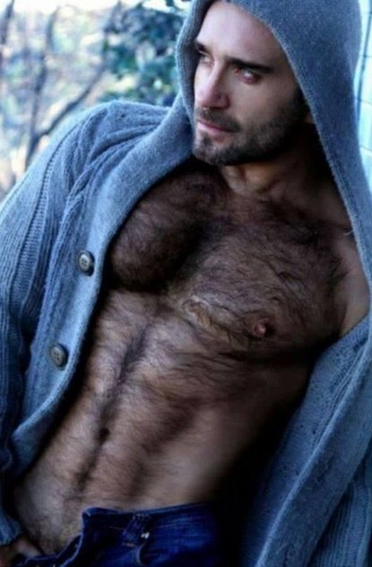 PINGAY-HOMME-OURS-TRES-POILU-ULTRA-SEXY.jpg