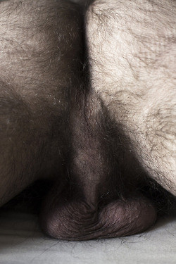 tumblr mve0skh9AD1qc2trgo1 250