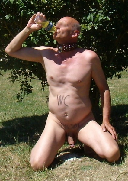 Image4