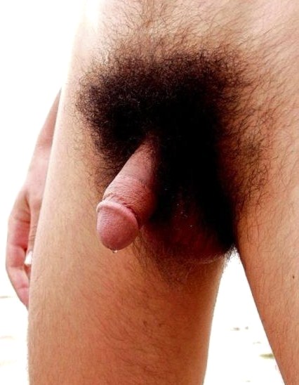 tumblr m018ztJ2YN1qdc09to1 500