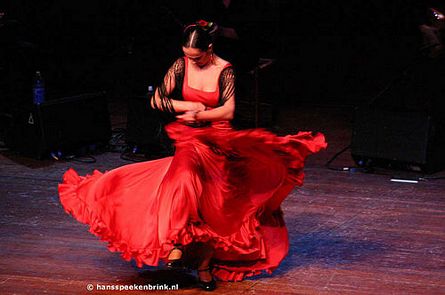 tn flamenco.1227611266