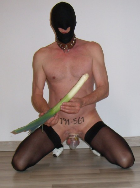 Image6