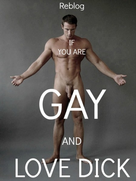 tumblr_mkv3q61G8L1r803epo1_500.jpg
