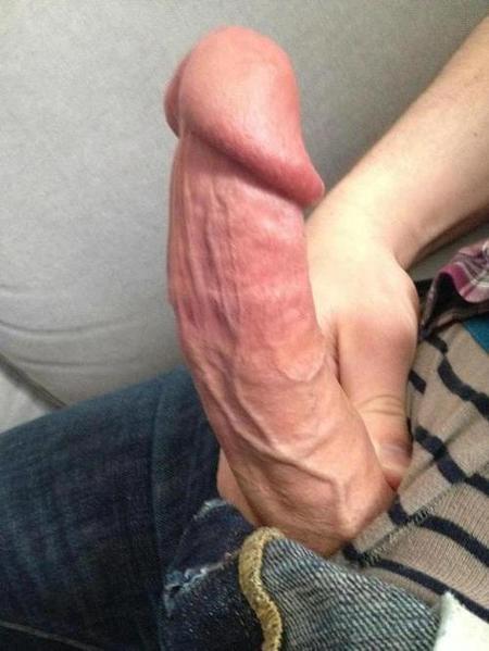 tumblr_n780gve9hz1qfbh7io1_500.jpg