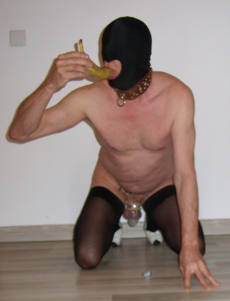 Image4