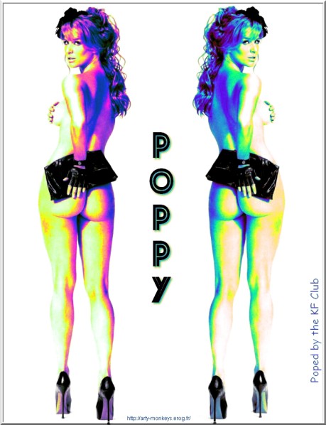 Poppy Montgomery 01