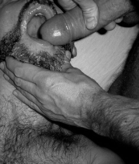 1--2--copie-11.jpg