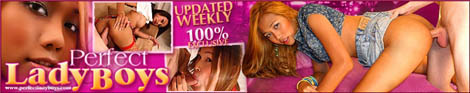 perfect-ladyboys-banner